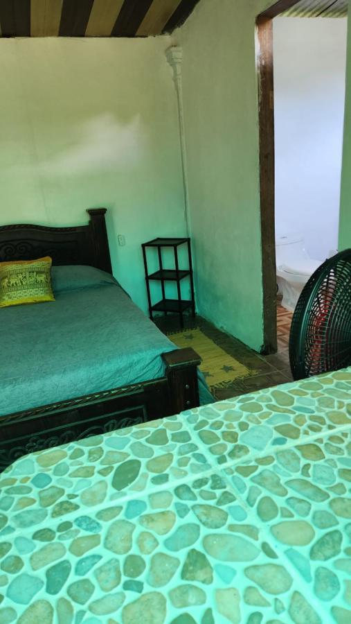 Mariposa Drake Homestay Drake Bay
