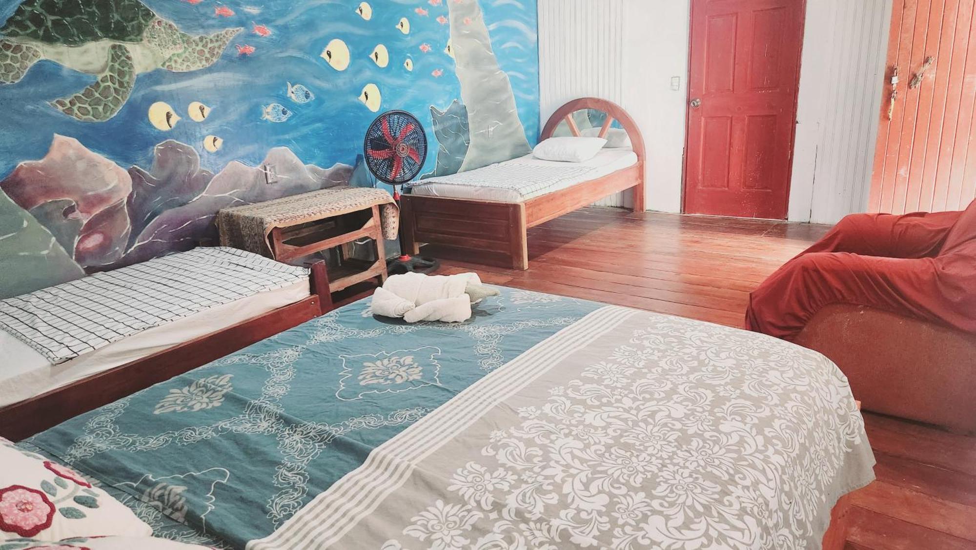 Mariposa Drake Homestay Drake Bay