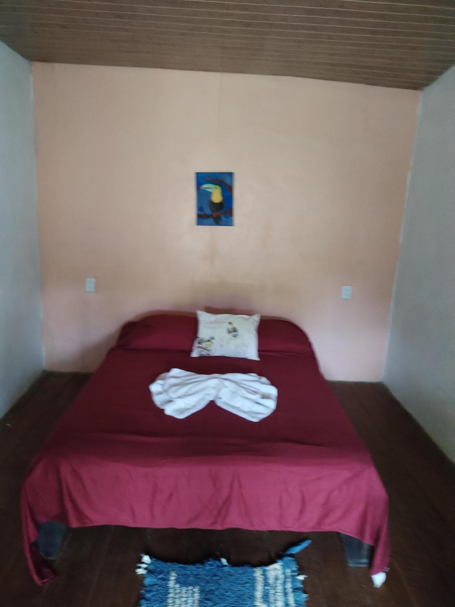Homestay Mariposa Drake Drake Bay