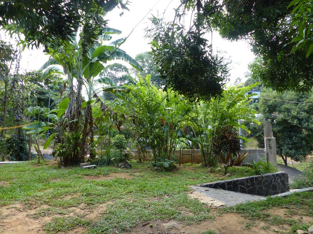 Homestay Mariposa Drake